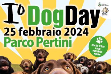 I &#176; DOGDAY