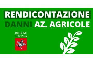 Alluvione  2 novembre 2023: un&#39;ordinanza della regione per i contributi alle attivit&#224; agricole