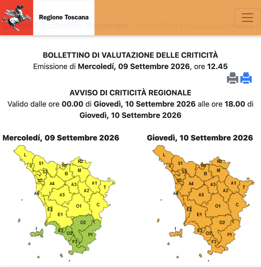 allerta meteo