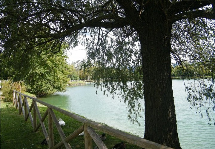 Foto di Vespino88